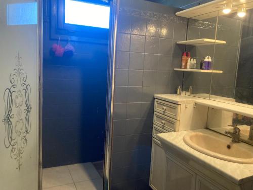 a bathroom with a sink and a shower with a blue door at Appartement T3 dans pavillon avec terrasse et jardin in Givet