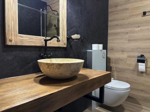 a bathroom with a bowl sink and a toilet at Hotel Velká Klajdovka in Brno