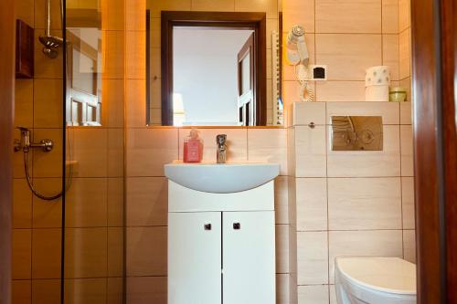 a bathroom with a sink and a toilet at Pod Wzgórzem Bed & Breakfast in Frombork