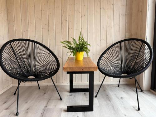 two chairs and a table with a plant on it at Rātes Krasti - Rasa - holiday house with sauna and lakeview in Lejasciems