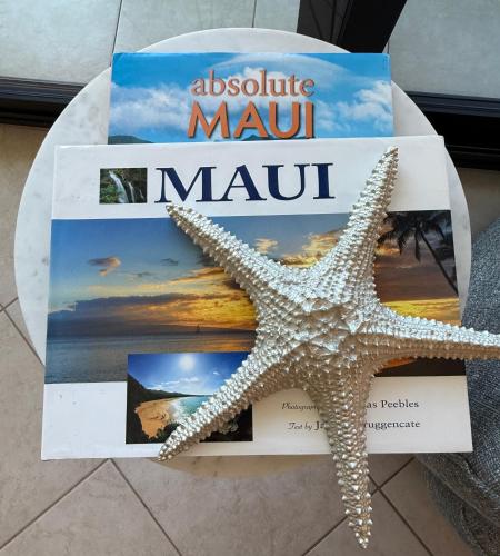 Gambar di galeri bagi Lahaina Shores Oceanfront Studio di Lahaina