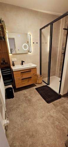 a bathroom with a shower and a sink and a mirror at Seensucht Klopeinersee in Völkermarkt