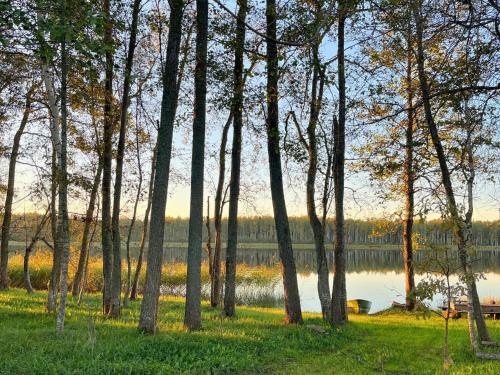 a group of trees in front of a lake at Rātes Krasti - Rasa - holiday house with sauna and lakeview in Lejasciems