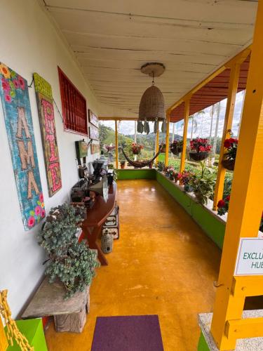 a room with plants on the walls of a flower shop at Hotel Recreacional Marcelandia Santa Rosa de Cabal in Santa Rosa de Cabal
