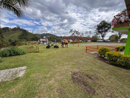a group of horses standing in a grass field at Hotel Recreacional Marcelandia Santa Rosa de Cabal in Santa Rosa de Cabal