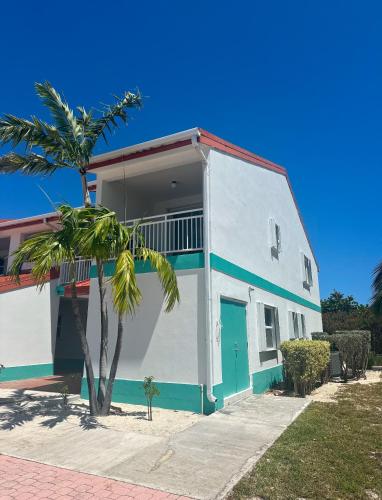 a house with a palm tree in front of it at Bimini Tides in South Bimini