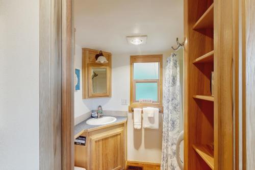 a bathroom with a sink and a mirror at Whaleshead Getaway in Carpenterville