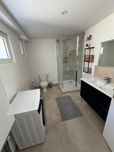 a bathroom with a shower and a sink and a toilet at À Lens comme à la maison in Lens