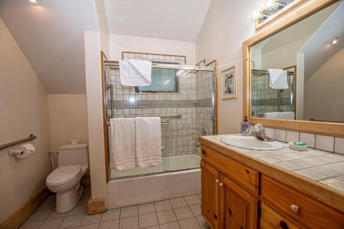 a bathroom with a toilet sink and a shower at Celtic Lodge By Hauserman Rentals in Homewood