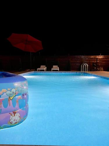 a large swimming pool with a plastic container in the water at AZ Villa in Gabala in Gabala