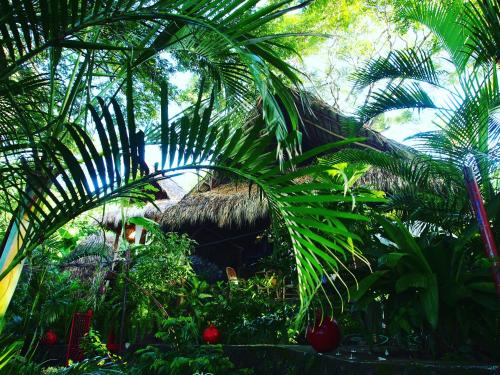 a jungle with palm trees and a straw hut at Casa Marimba in La Laguna