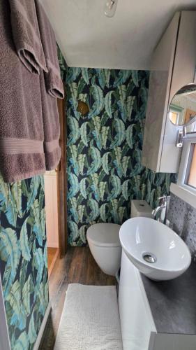 a small bathroom with a toilet and a sink at Oor Hoose in Blairgowrie