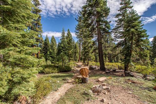 a wooden animal standing in the middle of a forest at Little Bear Cabin By Hauserman Rentals in Tahoe Vista