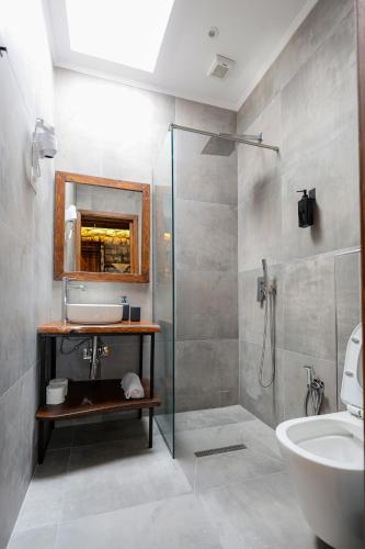 a bathroom with a shower and a sink and a toilet at Oda e Gurit - Boutique Hotel in Berat