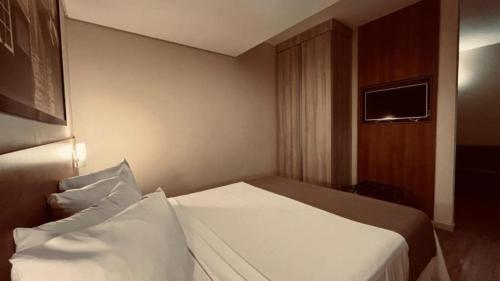 a hotel room with a bed and a television at Hotel Amsterdam Montes Claros in Montes Claros