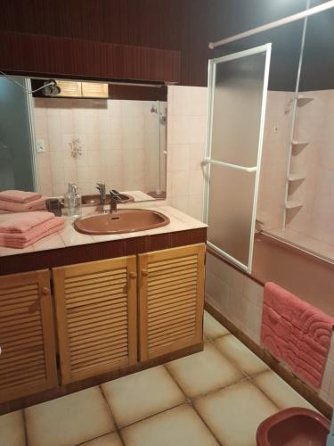 a bathroom with a sink and a shower at Place Georges Brassens in Cahors