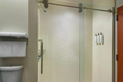 a shower with a glass door in a bathroom at Fairfield Inn and Suites Charleston North/University Area in Charleston