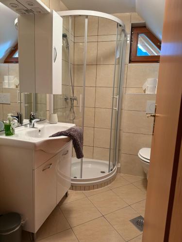 Billede fra billedgalleriet på Apartmaji pr` Brdarju i Bohinj