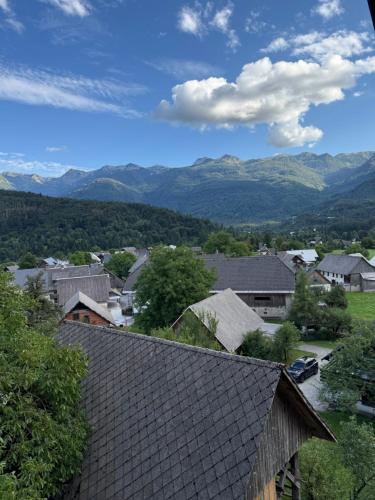 Billede fra billedgalleriet på Apartmaji pr` Brdarju i Bohinj