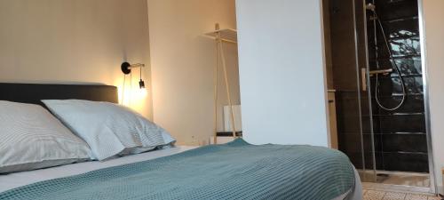 a bedroom with a bed and a glass shower at Gîte Larrun Lodge in Sare