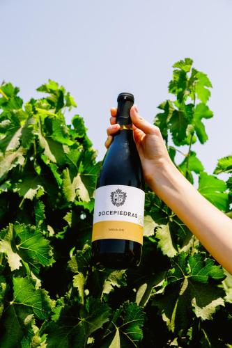a person holding a bottle of wine in a bush at Campera Valle de Guadalupe in Ensenada