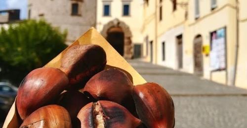 a box full ofnuts sitting on a street at La Casita in Vallerano