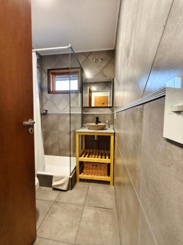 a bathroom with a shower and a sink at Departamentos Lonquimay in Junín de los Andes
