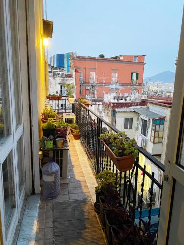 Vecchia Napoli Vesuvio