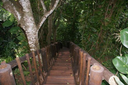 Κήπος έξω από το Ndiza Lodge and Cabanas