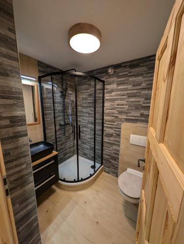 a large bathroom with a shower and a toilet at Chalet Kočí in Kořenov