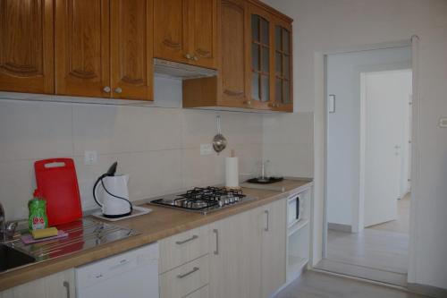 Kuchyň nebo kuchyňský kout v ubytování Apartments by the sea Drasnice, Makarska - 5265