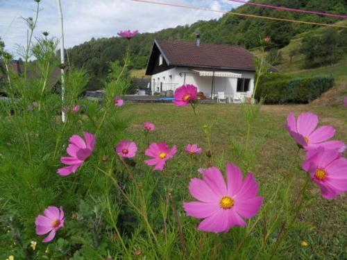 Gîte cosy à La Bresse - Proche sentiers, rivière et piste cyclable, idéal pour randonnées et séjours en famille - FR-1-589-168