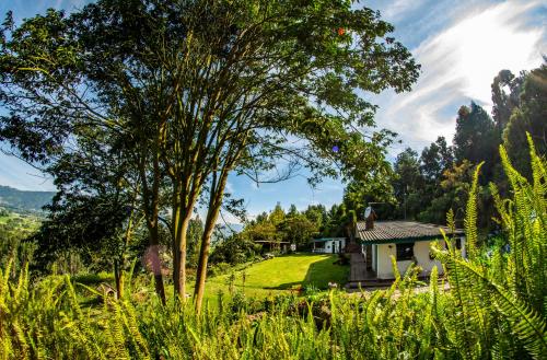 a house in the middle of a field with a tree at La Juana Posada en Tenjo in Tenjo