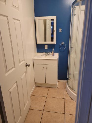 a bathroom with a sink and a shower and a mirror at Oceana Boutique Hotel in San Clemente