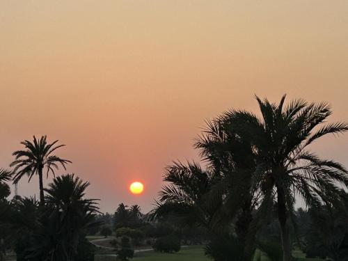 Relais Kamel