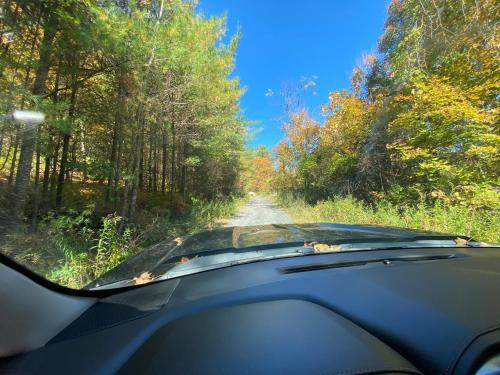 a view from a car windshield of a road with trees at Cabin on the hill Ascutney 