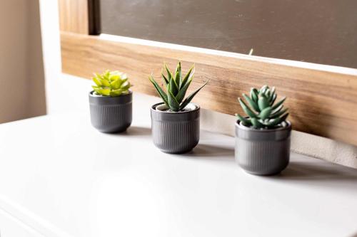 three potted plants sitting on a window sill at 505 Heart of CDMX 1Bdrm 1bath apt AC Rooftop in Mexico City