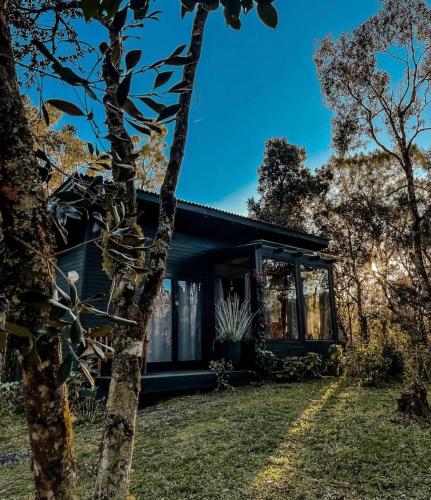 a house in the middle of a yard at La Serena Cabanas in Urubici