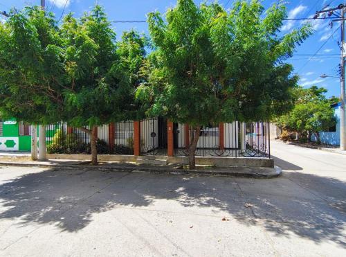 a group of trees in front of a fence at Casa Fenix in Dibulla