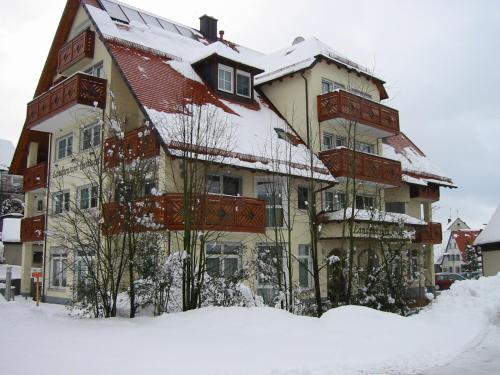 Hotel-Landpension Postwirt v zimě