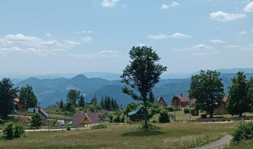 Příroda nedaleko apartmánu