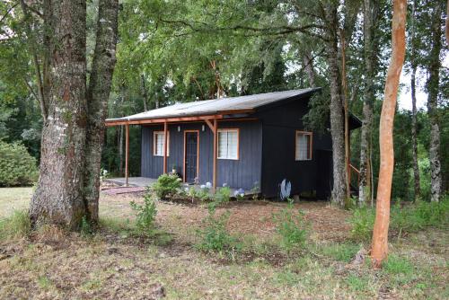a small black house in the middle of trees at Pichihuape Lodge in Valdivia