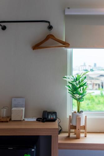 a plant sitting on a table next to a window at The Moment Hotel in Ban Bang Khan