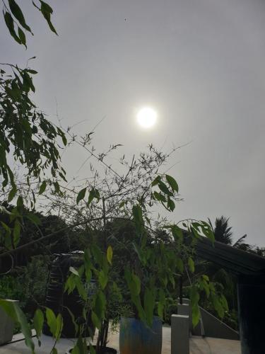 Φωτογραφία από το άλμπουμ του Spring Shelter Dickwella σε Dikwella