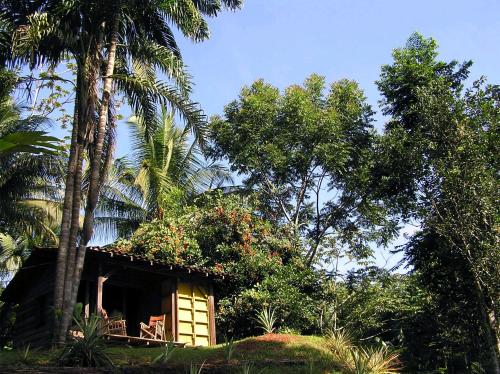 mały domek na środku niektórych drzew w obiekcie Suital Lodge w mieście Mogos