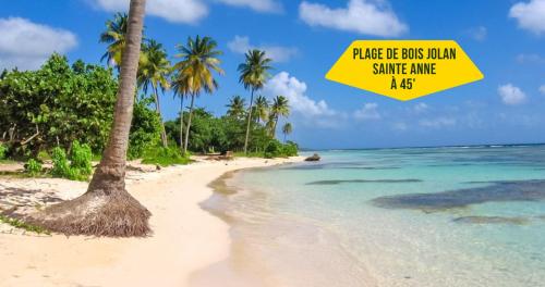a beach with a palm tree and the ocean at Jaden Kreyol - Gîte rural central 4 à 8 pers avec spa in Lamentin