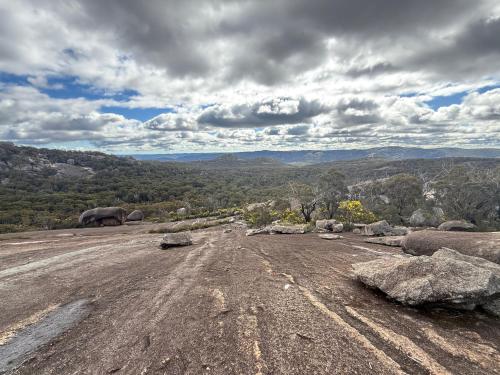 an empty dirt road with an elephant in the distance at 31 The Rocks in Stanthorpe