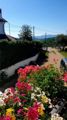 a garden of colorful flowers next to a building at CasaRoman in San Floriano del Cóllio