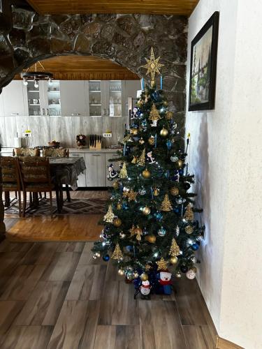 a christmas tree is in a living room at Cabana Boema in Rausor