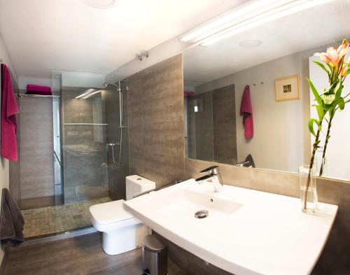 コルドバにあるTu Casa En El Rioのバスルーム(洗面台、トイレ、鏡付)